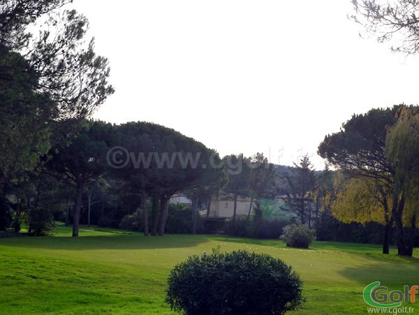 Le putting green du Golf Esterel Blue Green dans le Var à Saint Raphael en région PACA