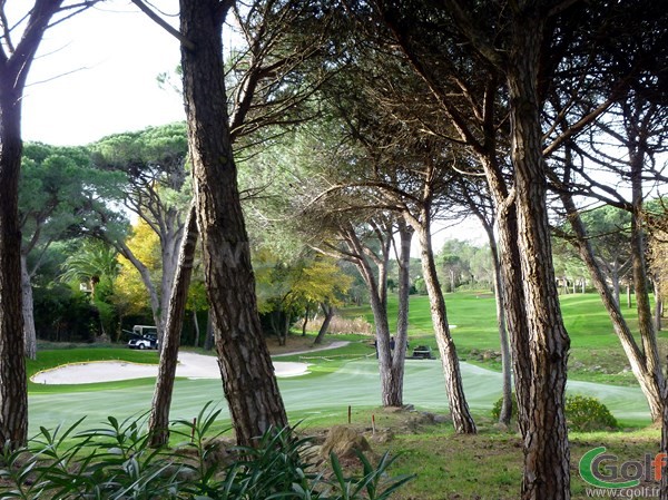 Green du trou n°9 du Blue Green Esterel golf club à Saint Raphael dans le Var en PACA sur la  Cote d'Azur