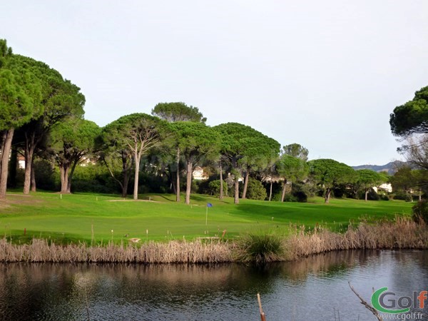 Green n°11 du golf de l'Esterel Blue green dans le Var à Saint Raphael sur la Cote d'Azur