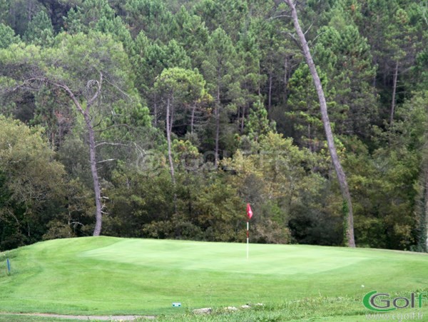 Le green du trou n°7 du golf club du Victoria golf club à Valbonne par du Val Martin
