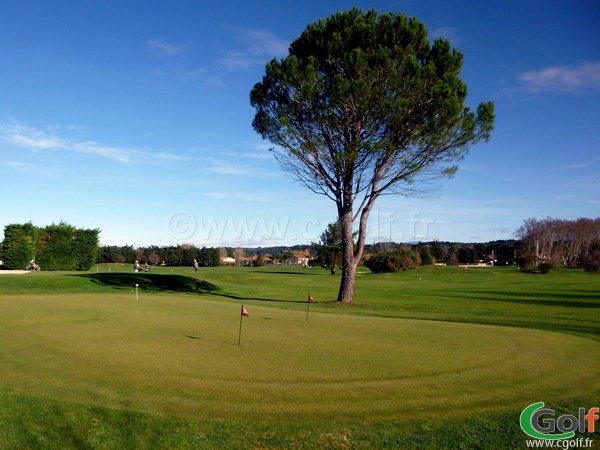 Le pitching green du Garden golf Avignon parcours les Alpilles et Ventoux en PACA