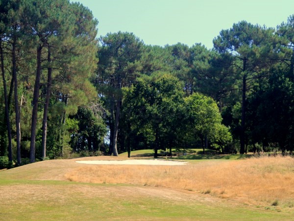 Green et rough du golf de Baden en Bretagne dans le Morbihan proche de Vannes