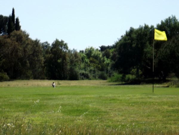 Fairway du golf de la Base Aeirienne de Solenzara Ventiseri en Corse