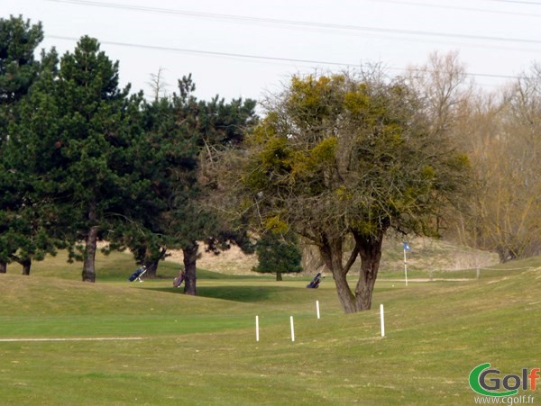 Green du golf de Saint Quentin en Yvelines en Ile de France proche de Paris et Versailles