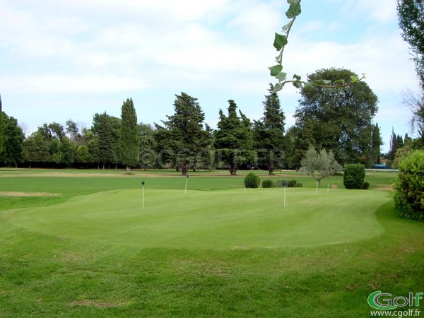 Le putting green du golf de Biot Antibes dans les Alpes Maritimes