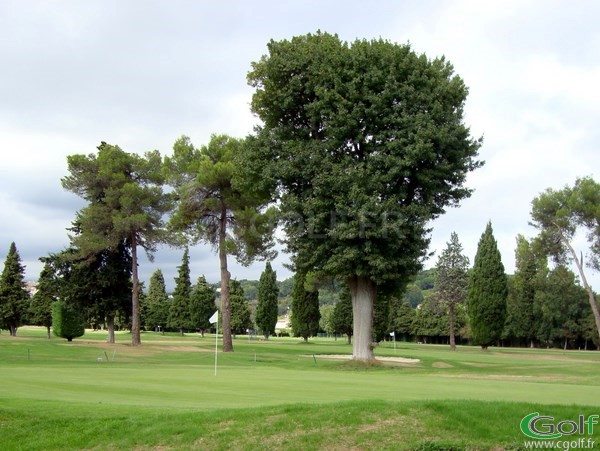 Le green du n°3 et n°18 du golf de Biot dans les Alpes Maritimes 06