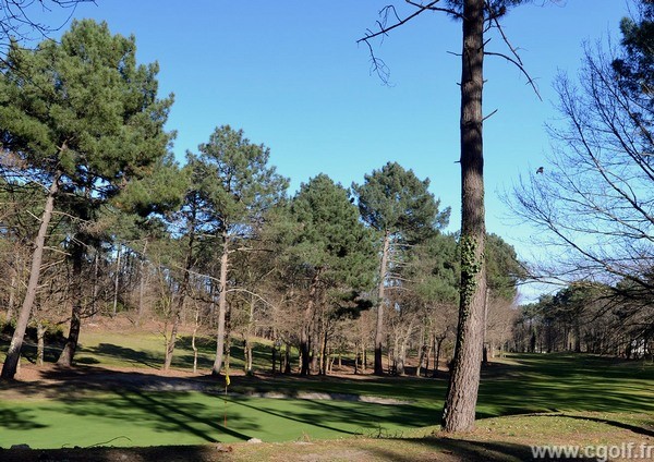 Green du golf de Biscarrosse en Aquitaine dans les Landes