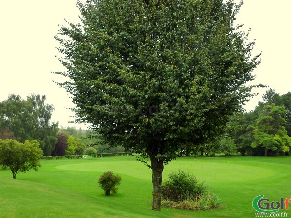 Putting green du golf club d'Amiens en Picardie dans la Somme à Querrieu