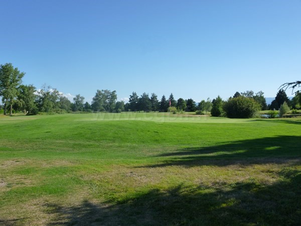 Green n°6 du golf du Forez à Craintilleux dans la région Rhone Alpes en Loire proche de Saint-Etienne