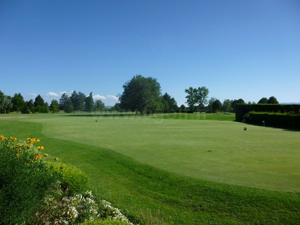 Putting green du golf du Forez à Craintilleux en Rhône-Alpes dans la Loire