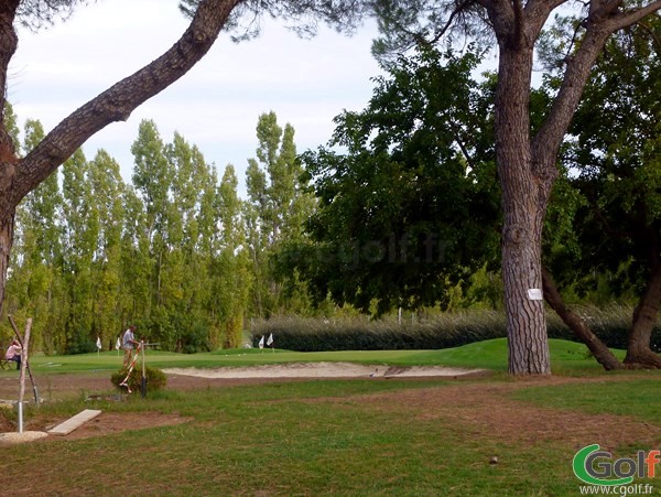 Pitching green du golf de Chateau l'Arc à Fuveau dans les Bouches du Rhone en PACA