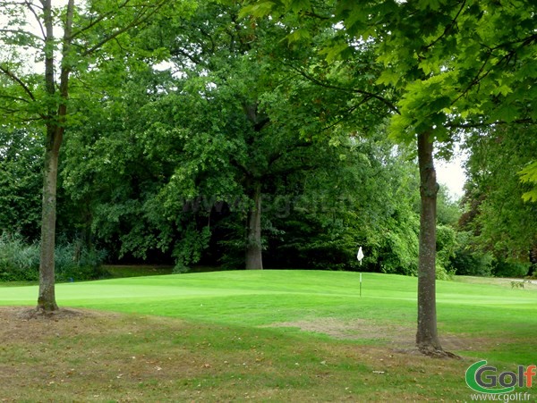 Green du golf de l'Isle d'Adam proche de Paris en Ile de France dans le Val d'Oise