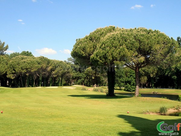 Fairway et green du golf Compact de La Grande Motte proche de La Camargue