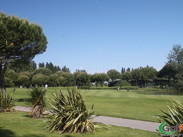 Le putting green du golf de La grande Motte dans le Languedoc Roussillon proche de Montpellier