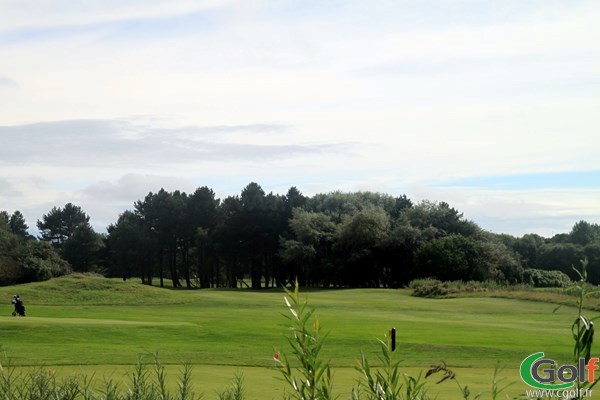 Green du golf du Touquet sur le Parcours du Manoir en région Nord-Pas-de-Calais Côte d'Opale