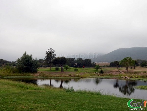 Green du golf de Lezza à Porto-Vecchio en Corse proche de Bonifacio