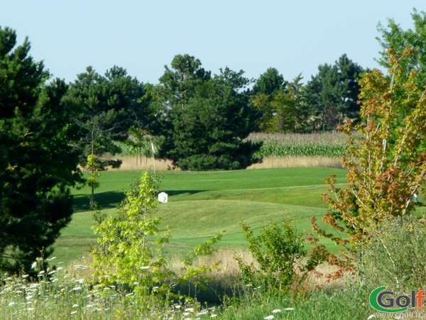 Green du golf de Lyon Verger Le Pré Neuf en Rhône Alpes dans la banlieu Lyonnaise