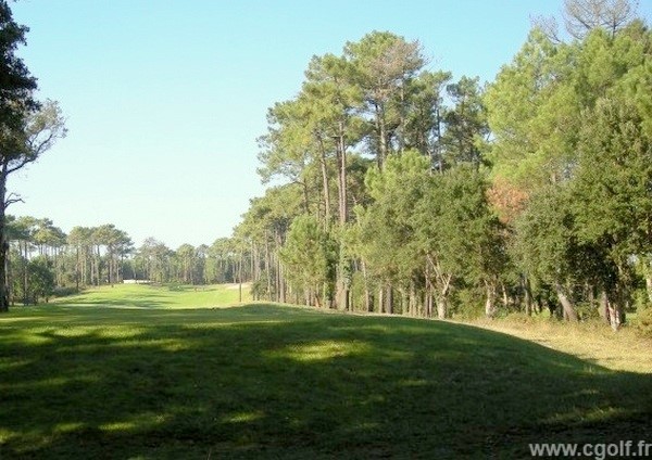 Fairway du golf 18 trous de Moliets dans les Landes en Aquitaine