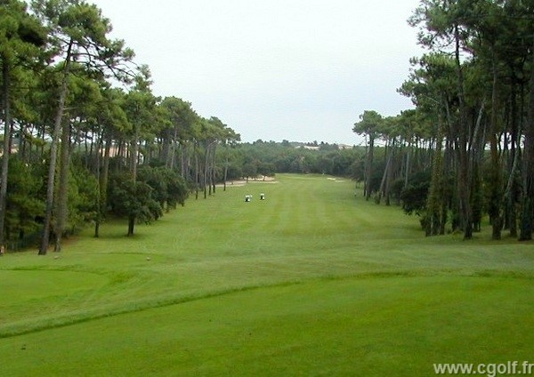 Fairway du golf de Moliets dans les Landes en Aquitaine