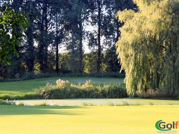 Green n°15 du Parcours les Cygnes du golf de Nampont-Saint-Martin en Picardie dans la Somme