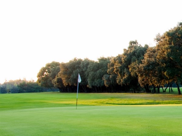 Green du golf de Nimes Campagne dans le Gard en région Languedoc Roussillon
