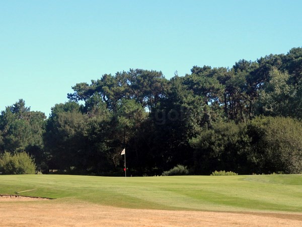 Green n°12 du golf de Port Bourgenay en Pays de Loire Vendée à Talmont Saint Hilaire