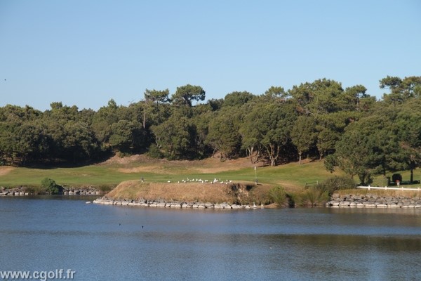 Green n°1 du golf de Saint Jean de Monts en Vendée en Pays de Loire proche de Nantes