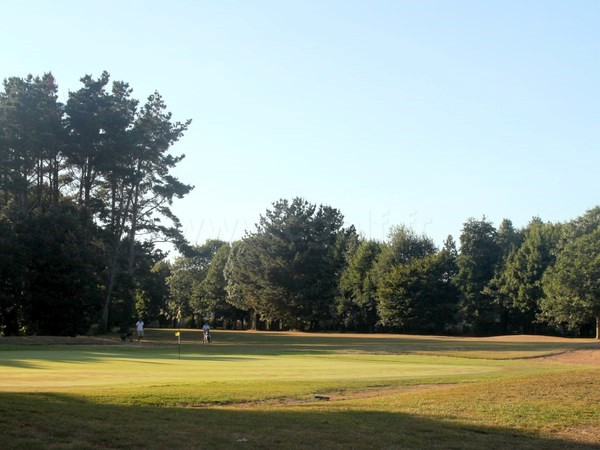 Green n°2 du golf Saint Laurent parcours des pins en Bretagne dans le Morbihan à Auray