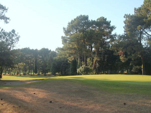 Green du golf de Saint Laurent parcours des pins à Auray en Bretagne dans le Morbihan