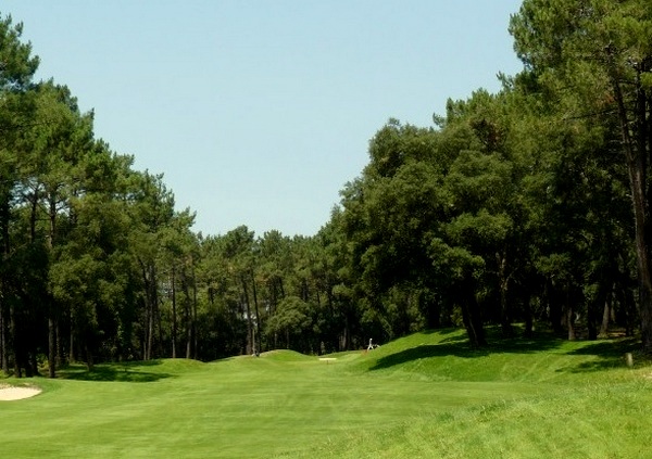 Fairways du golf de Seignosse en Aquitaine dans les Landes