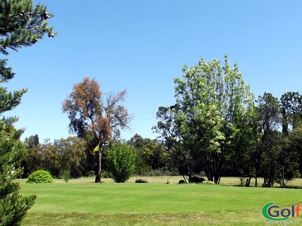 Green du golf de la Base aérienne de Solenzara en Corse