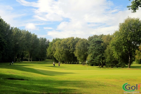 Green du golf du Touquet sur le parcours de la Forêt en region Nord-Pas-de-Calais sur la Côte d'Opale