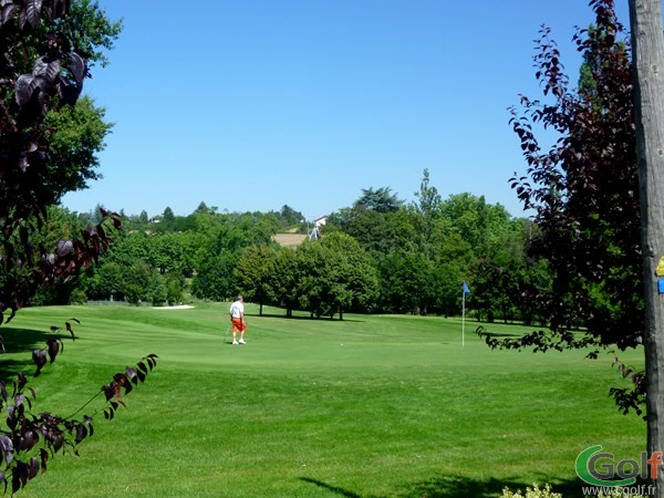 Green du parcours du Chateau golf de Salvagny en Rhône alpes proche de Lyon