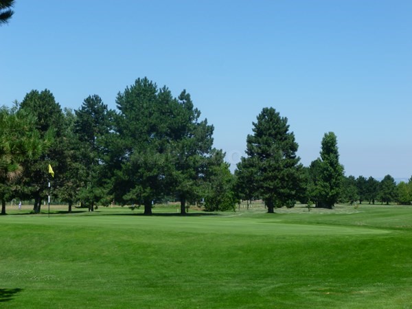 Green n°18 du golf de Valence Saint Didier dans la Drôme provençale en Rhône Alpes