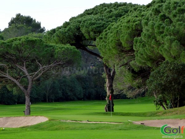 Le green du n°2 du golf de Valescure à Saint Raphael dans le var sur la cote d'azur