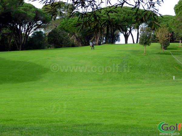 Le fairway du n°8 du golf de Valescure sur la Cote d'Azur dans le var à Saint Raphael