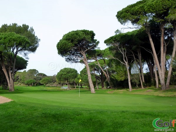 Le green du n°15 du golf de Valescure sur la Cote d'Azur dans le var à Saint Raphael