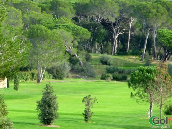 Le fairway du n°18 du golf de Valescure en region PACA dans le Var à Saint Raphael